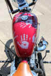 cancerbike31.JPG (56590 bytes)