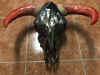 skull5.JPG (37205 bytes)